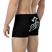 Load image into Gallery viewer, FP Mens Boxer Briefs